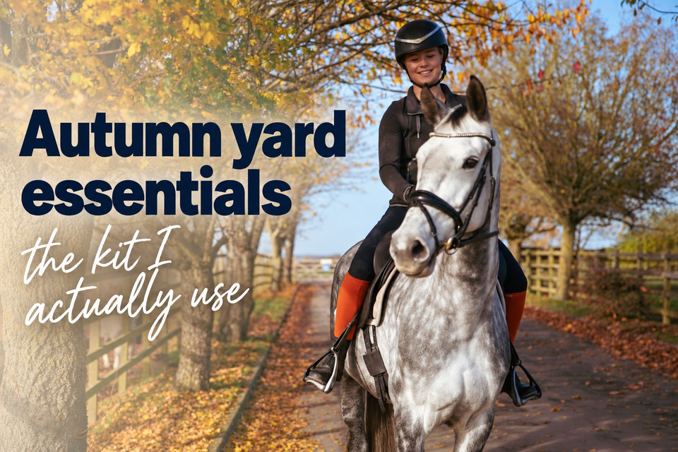 Autumn yard essentials: the kit I actually use
