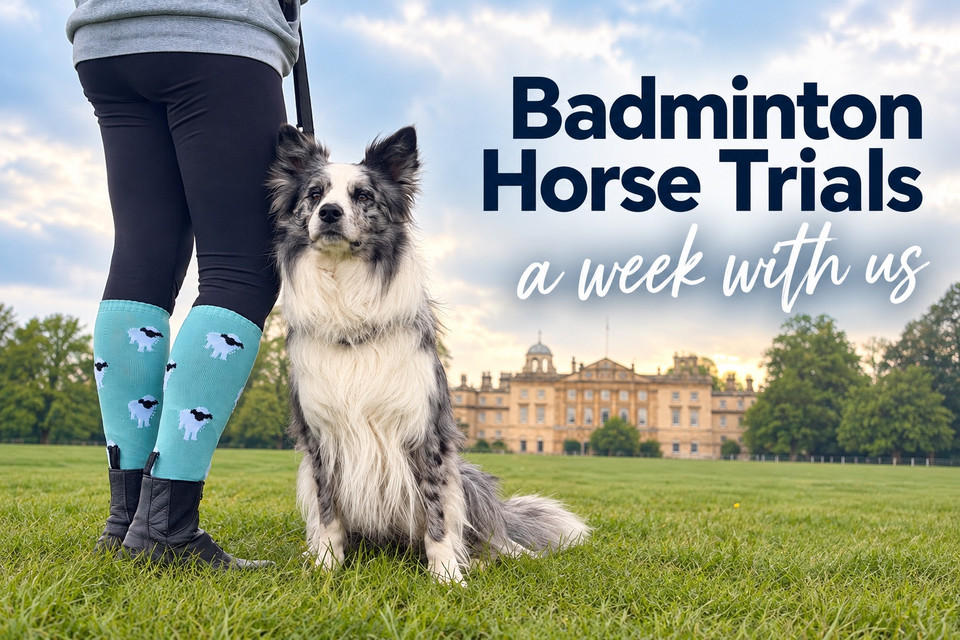 Badminton Horse Trials: the days I’d choose and why
