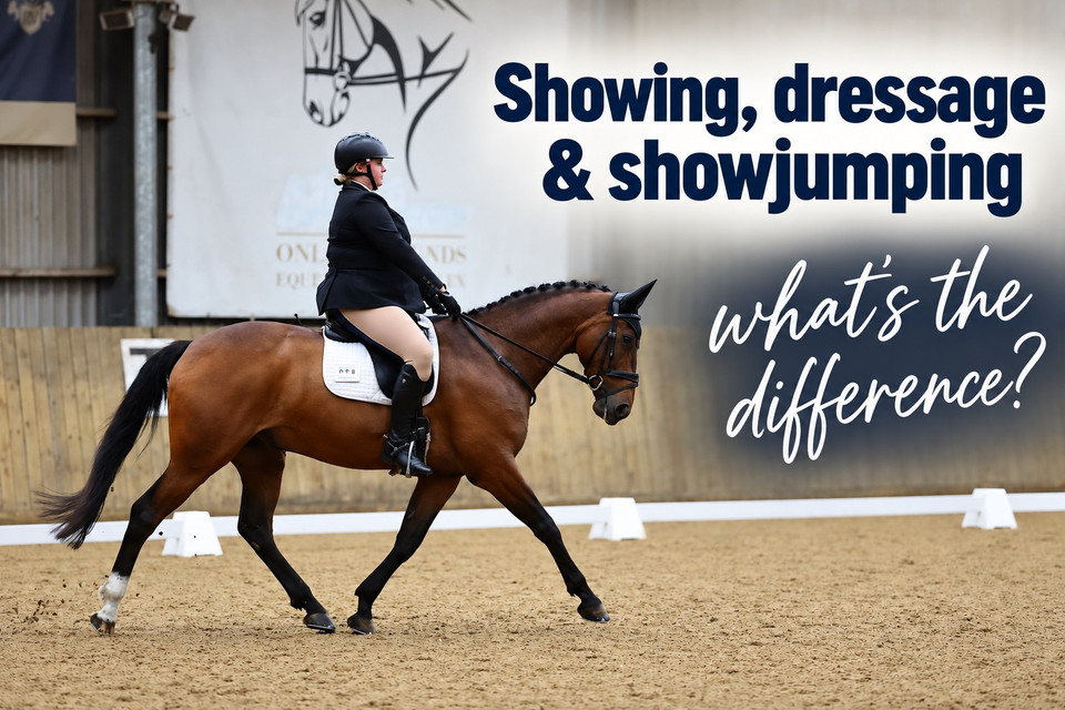 Showing, dressage and showjumping: what’s the difference?