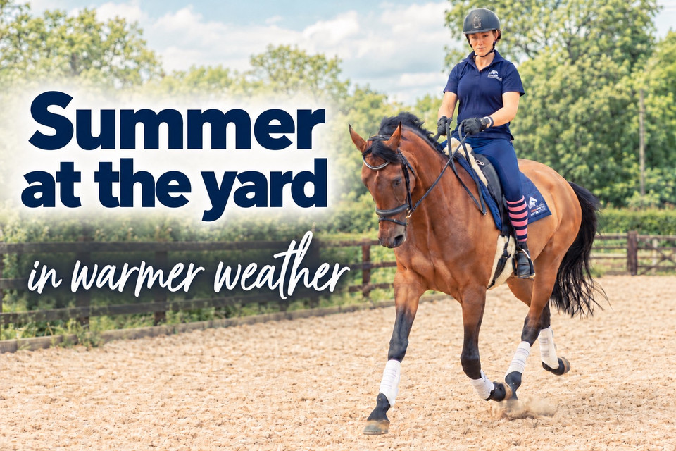 Summer at the yard: looking after horses in hot weather