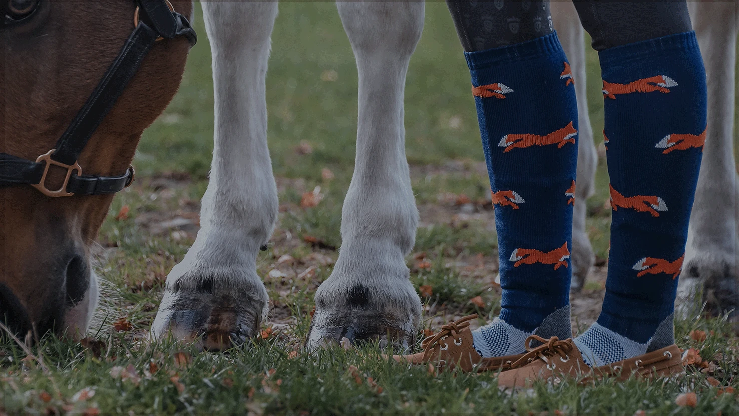 Colourful everyday horse riding socks