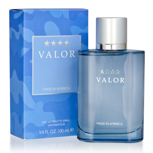DANA VALOR 3.4 EAU DE TOILETTE SPRAY FOR MEN