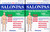 SALONPAS PAIN RELIEVING PATCH 140 PATCHES