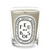 DIPTYQUE FEU DE BOIS 6.5 CANDLE