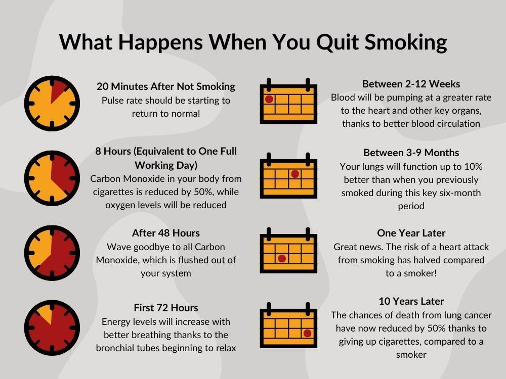 Infographic of Timeline on Quitting Smoking