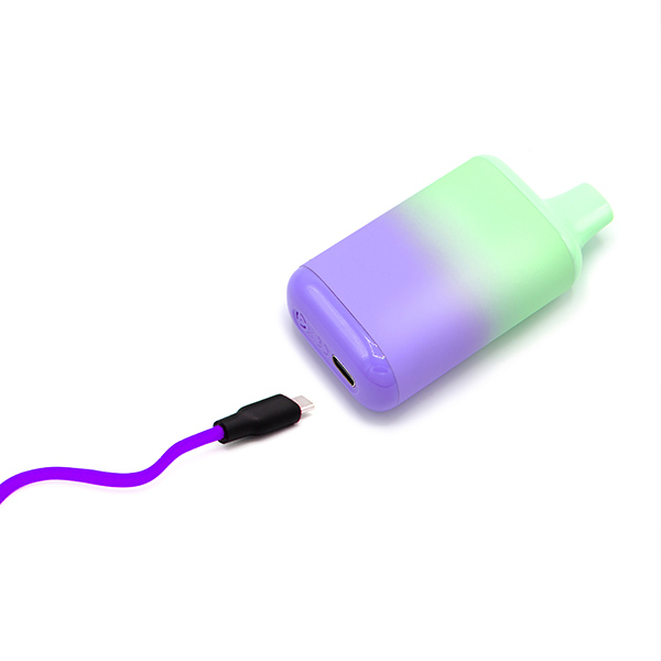 Disposable Vape with charing wire