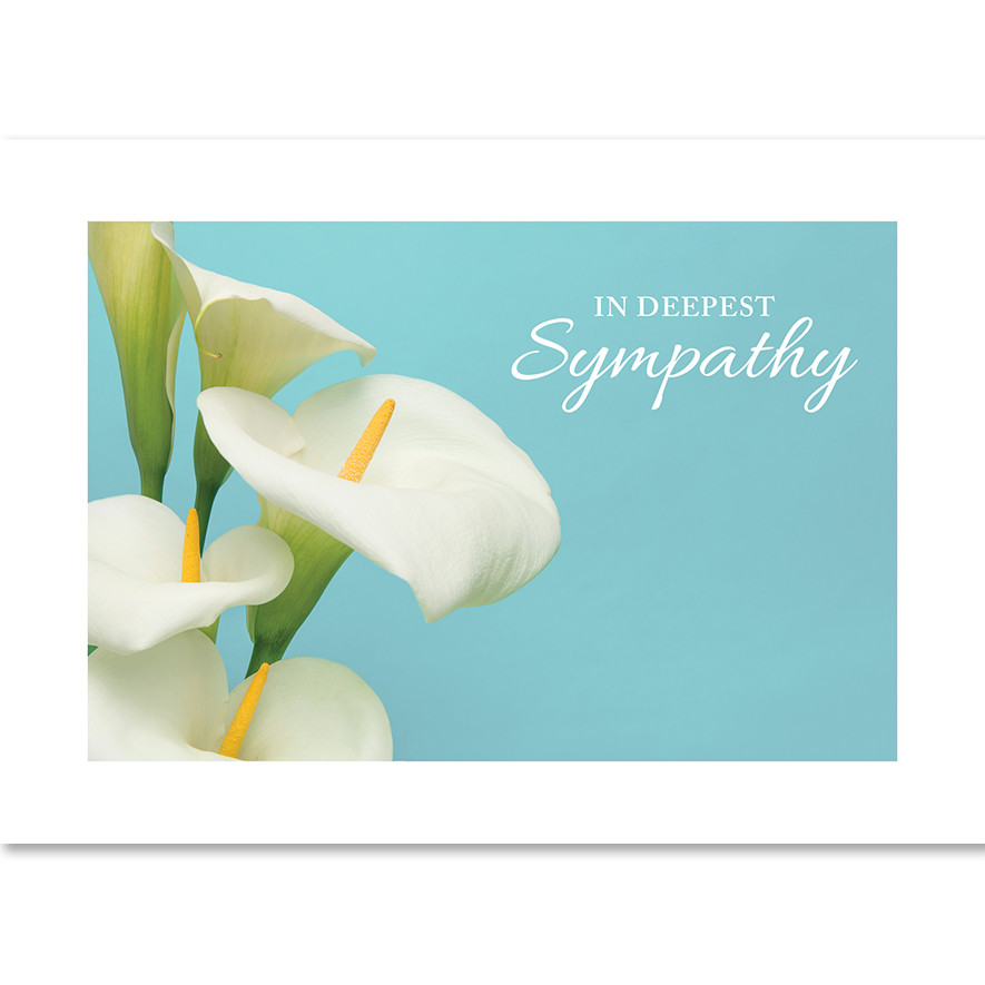 Calla Lily Sympathy Blue Wall Street Greetings