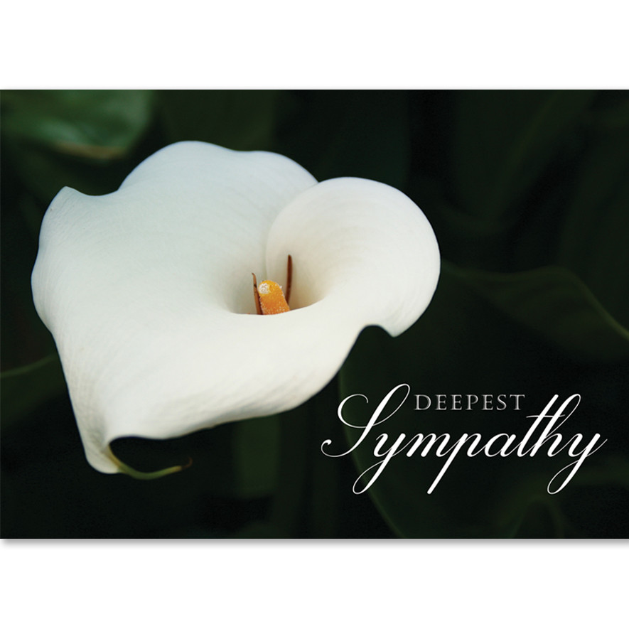 Calla Lily Sympathy Wall Street Greetings