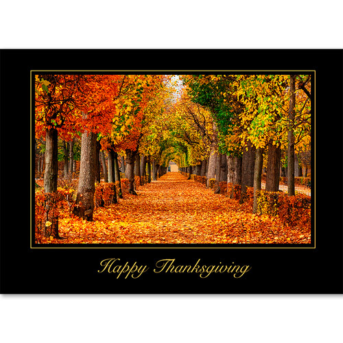 Autumn Archway - Wish your clients a Happy Thanksgiving with this stunning corporate card.