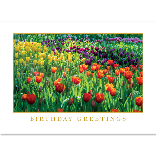 Cheerful Tulip Garden | Wall Street Greetings
