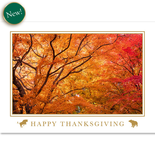 Bull & Bear Radiant Thanksgiving Wishes