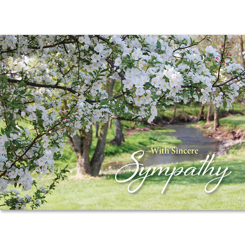 Wall Street Greetings beautiful river and blossoming tree sympathy card design.