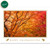 Bull & Bear Radiant Thanksgiving Wishes