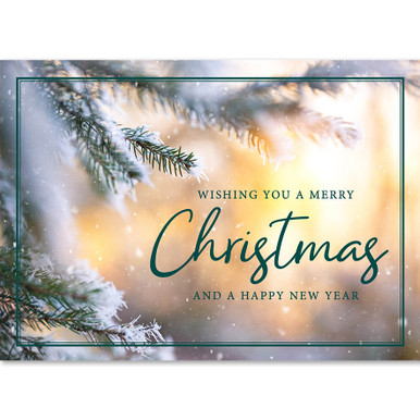 Top 180+ Merry Christmas Wishes, Messages and Greetings