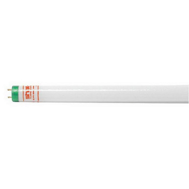Shat-R-Shield 46516 T8 Straight Linear Fluorescent Lamp 32-Watt 2-Pin G13 Base 2600-Lumens 78 CRI 4100K 48-Inch Length Alto&reg;