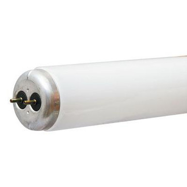 GE Lighting 66649 T12 Straight Linear Fluorescent Lamp 34-Watt 2-Pin G13 Base 1800-Lumens 87 CRI 4100K 48-Inch Length Ecolux&reg; Watt-Miser&reg;