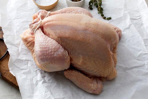 TURKEY -- ITEMS-TURK-WFROM-000-PV295