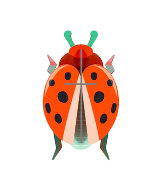 Coccinelle Rouge Beetle Wall Art