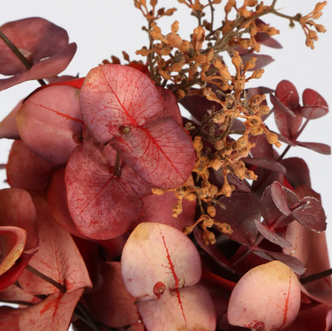 Glendel Eucalyptus Pick