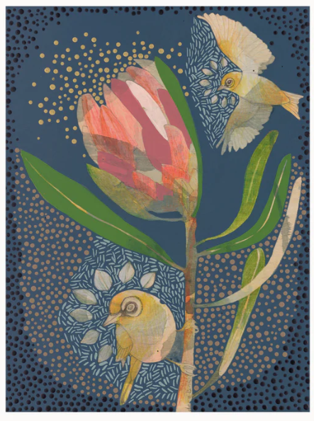 Dana Kinter Mini Print - Silvereye and Pink Ice Protea
