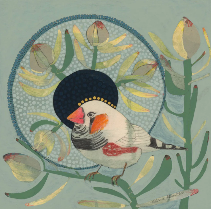 Dana Kinter Mini Print - Zebra Finch and Leucadendron