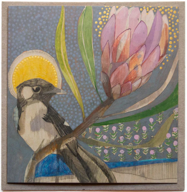 Dana Kinter Card - Willie Wagtail and Protea