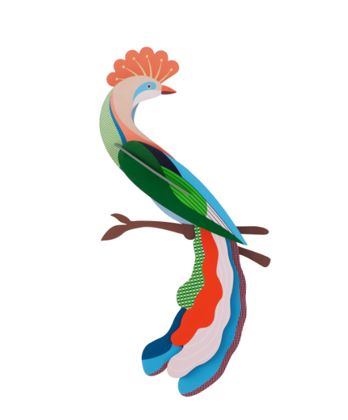 Meti Paradise Bird