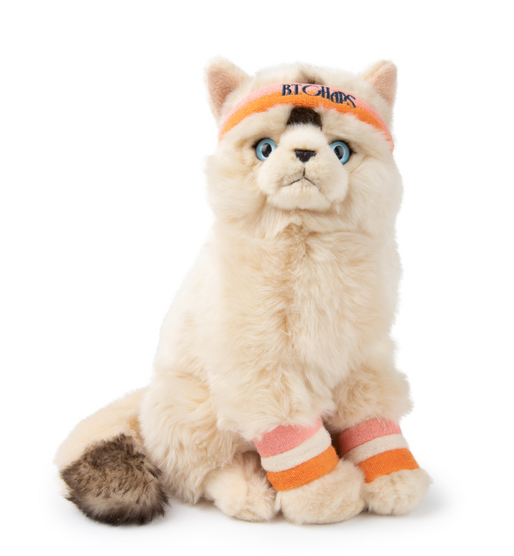 Dolly the Rag Doll 32cm