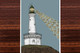 The Lighthouse - Art Print