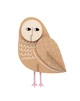 Otto Owl Wall Decor - Donna Wilson Creatures