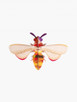 Honey Bee Wall Decor