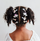 Fairy Salon Clips