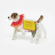 Happy Birthday Jack Russell