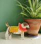 Happy Birthday Jack Russell