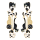 Fluffy Earrings 06952