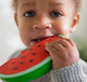 Wally the Watermelon Teether Toy