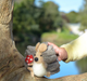 Felt Hedgehog Toy