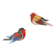 Robins Wall Decor