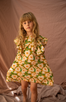 Sophia Dress