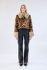 Hidden Tiger Jacket