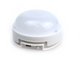 Electra the Unicorn Night Light