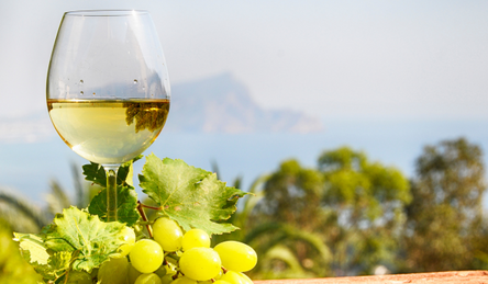 Uncork Summer: A Guide to Summer Wines