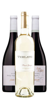 Dry or Sweet Wine? Selecting the Perfect Wine