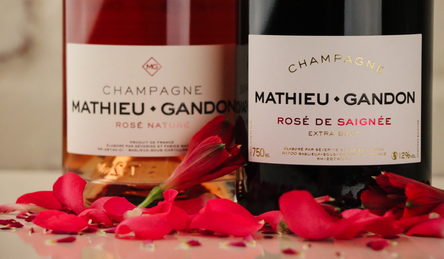 Bubbly Essentials for hosting a Galentine's Day