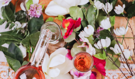 Spring Cleaning Your Wine Collection: Storage Tips & Must-Have Bottles Spring Cleaning Your Wine Collection: Storage Tips & Must-Have Bottles