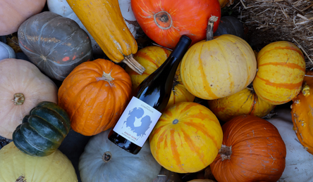 Wines for Sweater Weather