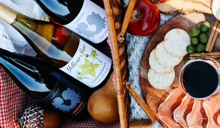 Take your Wines to the Dallas Arboretum this Fall 