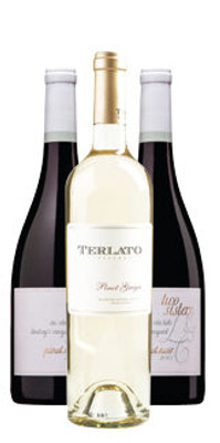 A Guide to Chardonnay Wine A Guide to Chardonnay Wine