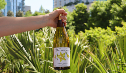 White Wine Refresh: Crisp & Cool Bottles to Welcome the Season White Wine Refresh: Crisp & Cool Bottles to Welcome the Season