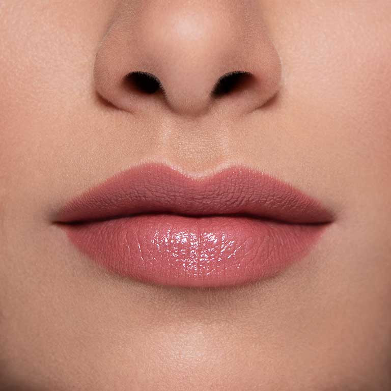 WITHOUT A STITCH - sheer, rose brown